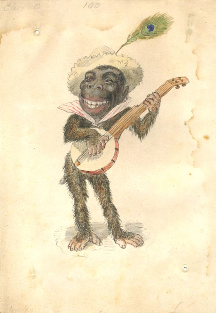 A colored watercolor shows a gorilla playing a banjo, wearing a feathered hat and a ruff.