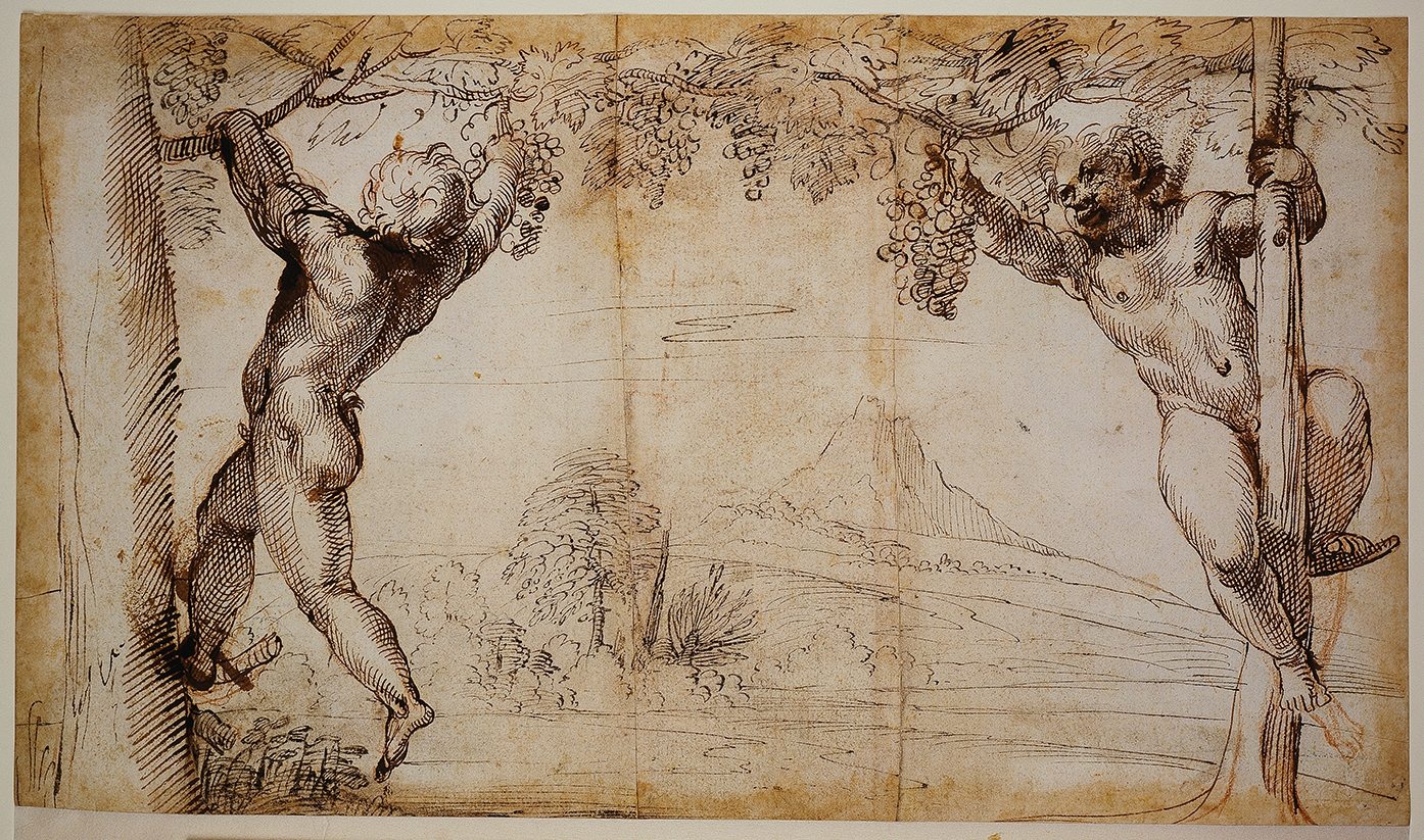 A sepia-toned Renaissance drawing depicting two satyrs climbing and hanging from grapevines heavy with fruit. The satyr on the left reaches upward to grasp a cluster of grapes, while the one on the right looks toward him, smiling, and holds onto a vine-covered tree trunk. The background features a softly sketched pastoral landscape with rolling hills and a distant mountain.