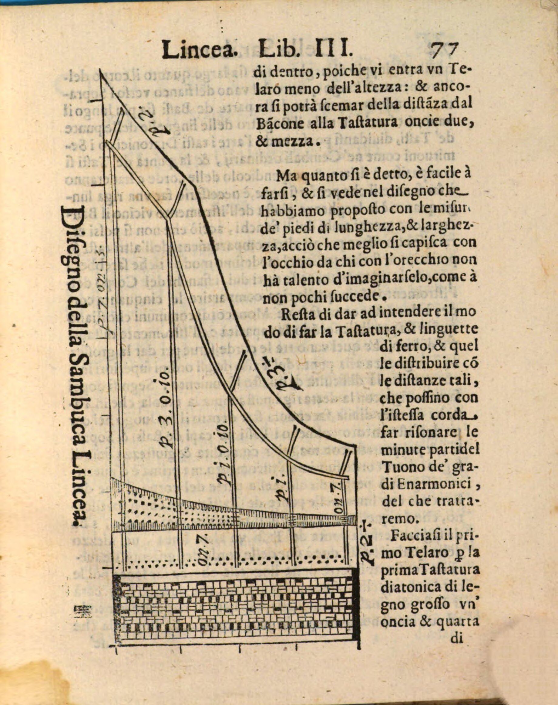An antique diagram of a stringed musical instrument, with labeled measurements and Italian text featuring its components and proportions.