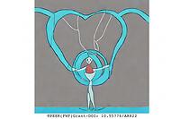 Philosophy In The Arts : Arts In Philosophy (FWF PEEK, 2024-2027)
Presentation: Arno Böhler, Susanne Valerie Granzer (ARC)