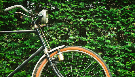 Fahrrad vor grüner Hecke