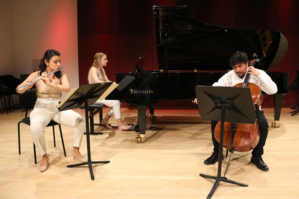 Cronopius Trio 