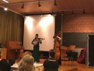 Reception concert - Photo Marko Kölbl.jpg