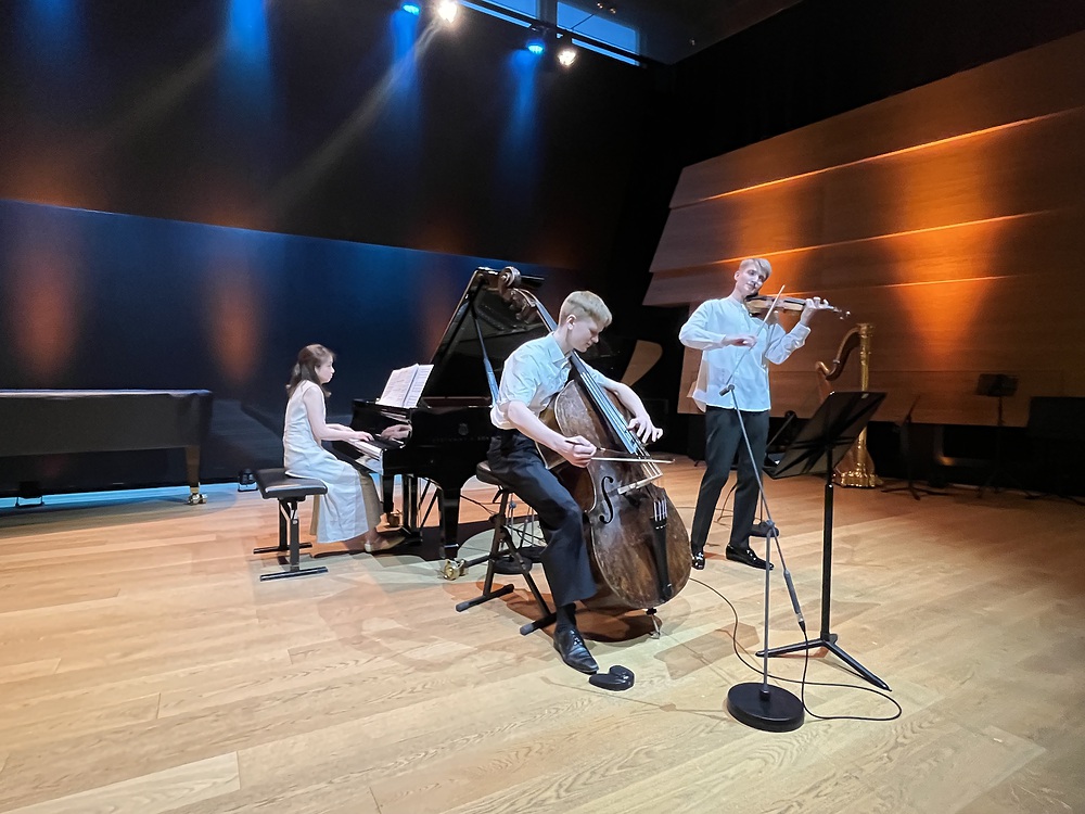 (c) Fritz Kreisler Institut für Konzertfach Streichinstrumente, Gitarre und Harfe