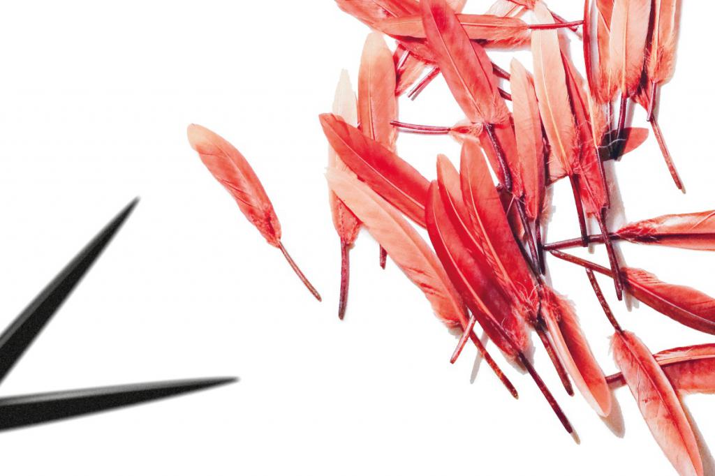 Il barbiere di Siviglia