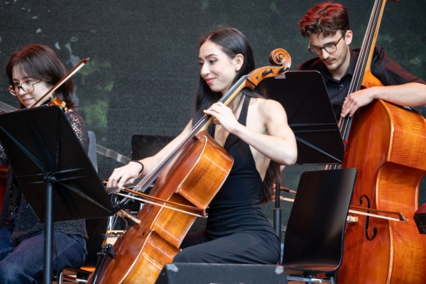 ipop Large Ensemble